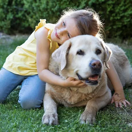 Dorf In Der Stadt شقة *
