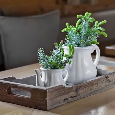 Dorf In Der Stadt * Schladming